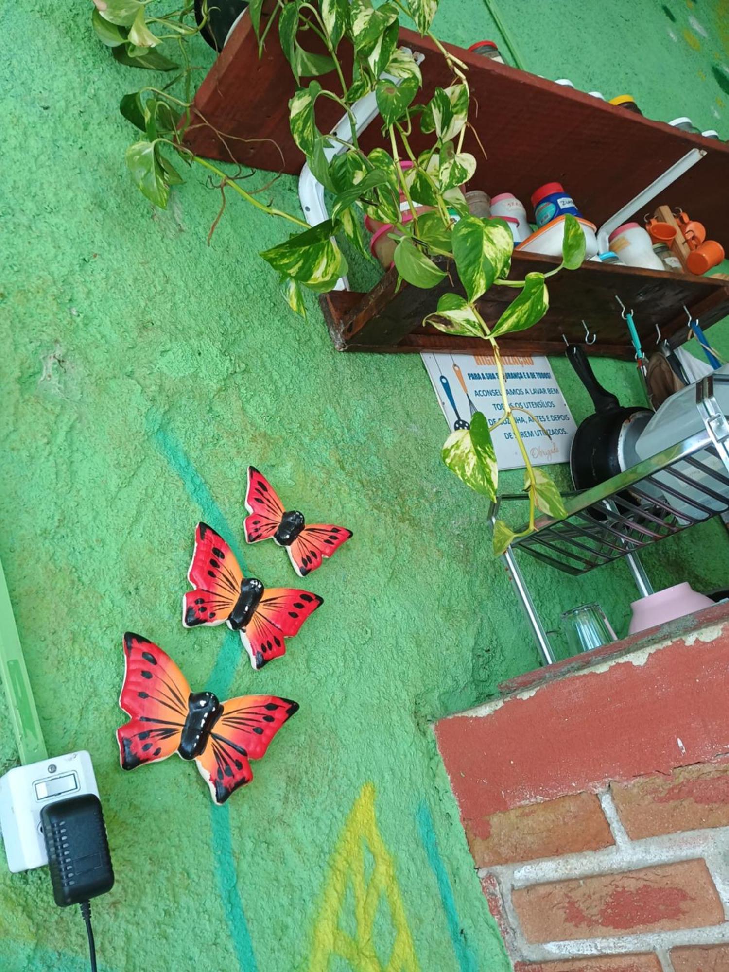 Renovo Beija-Flor Hostel E Espaco Terapeutico بيرتيوغا المظهر الخارجي الصورة
