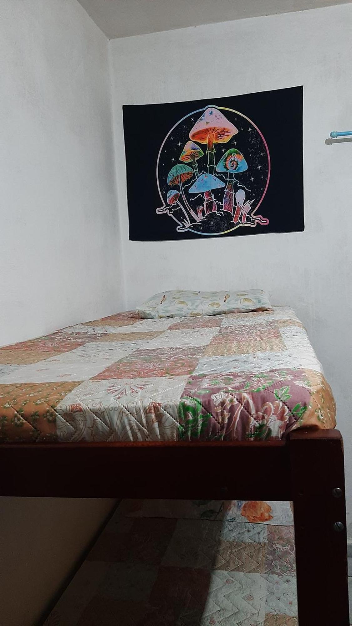 Renovo Beija-Flor Hostel E Espaco Terapeutico بيرتيوغا المظهر الخارجي الصورة